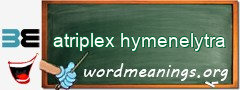 WordMeaning blackboard for atriplex hymenelytra